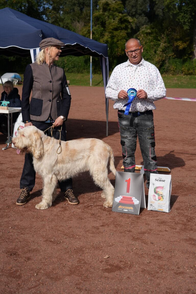 Frederico del Cuore di Diana V! CAC Res