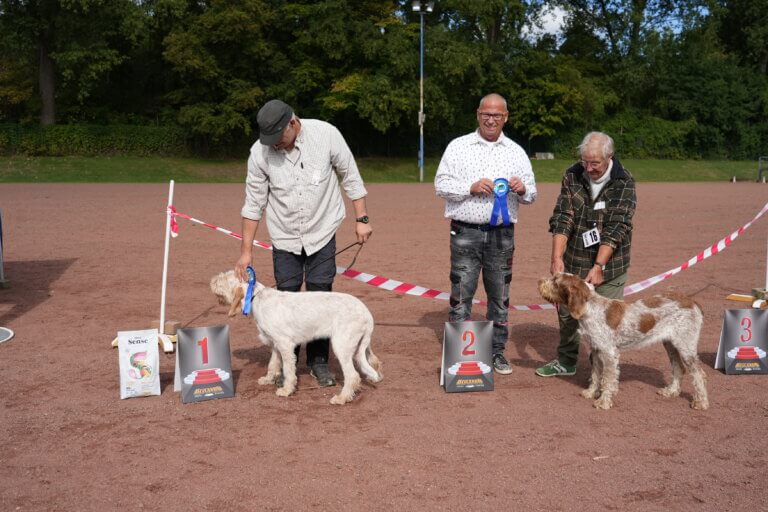 Jüngstenklasse Hündinnen