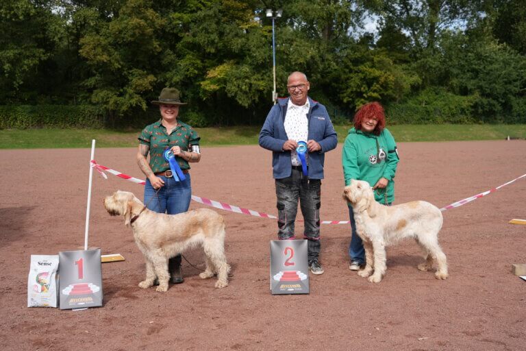 Championklasse Hündinnen