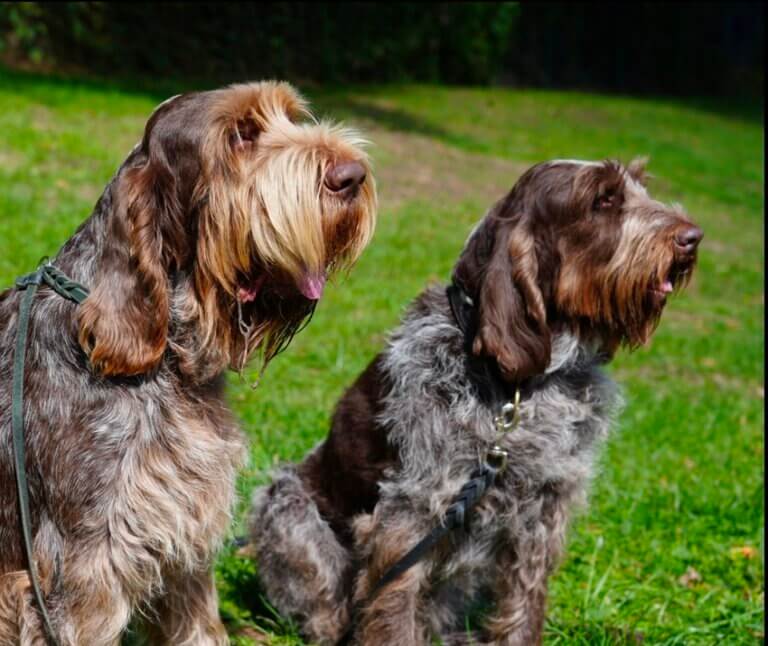 Screenshot_20251030_233913_Firefox