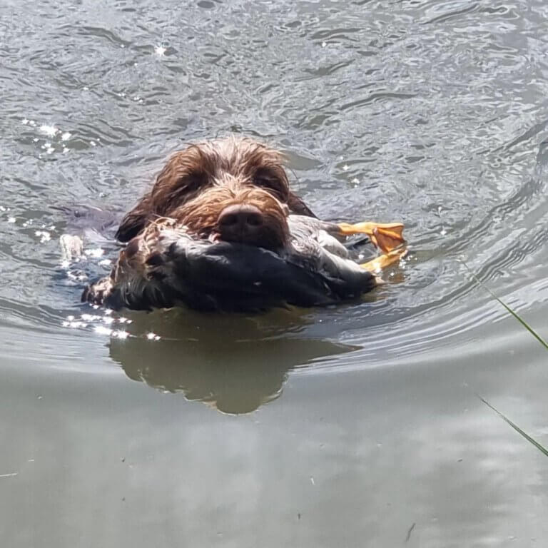 490935111_9067899093310902_2441412799792536793_n