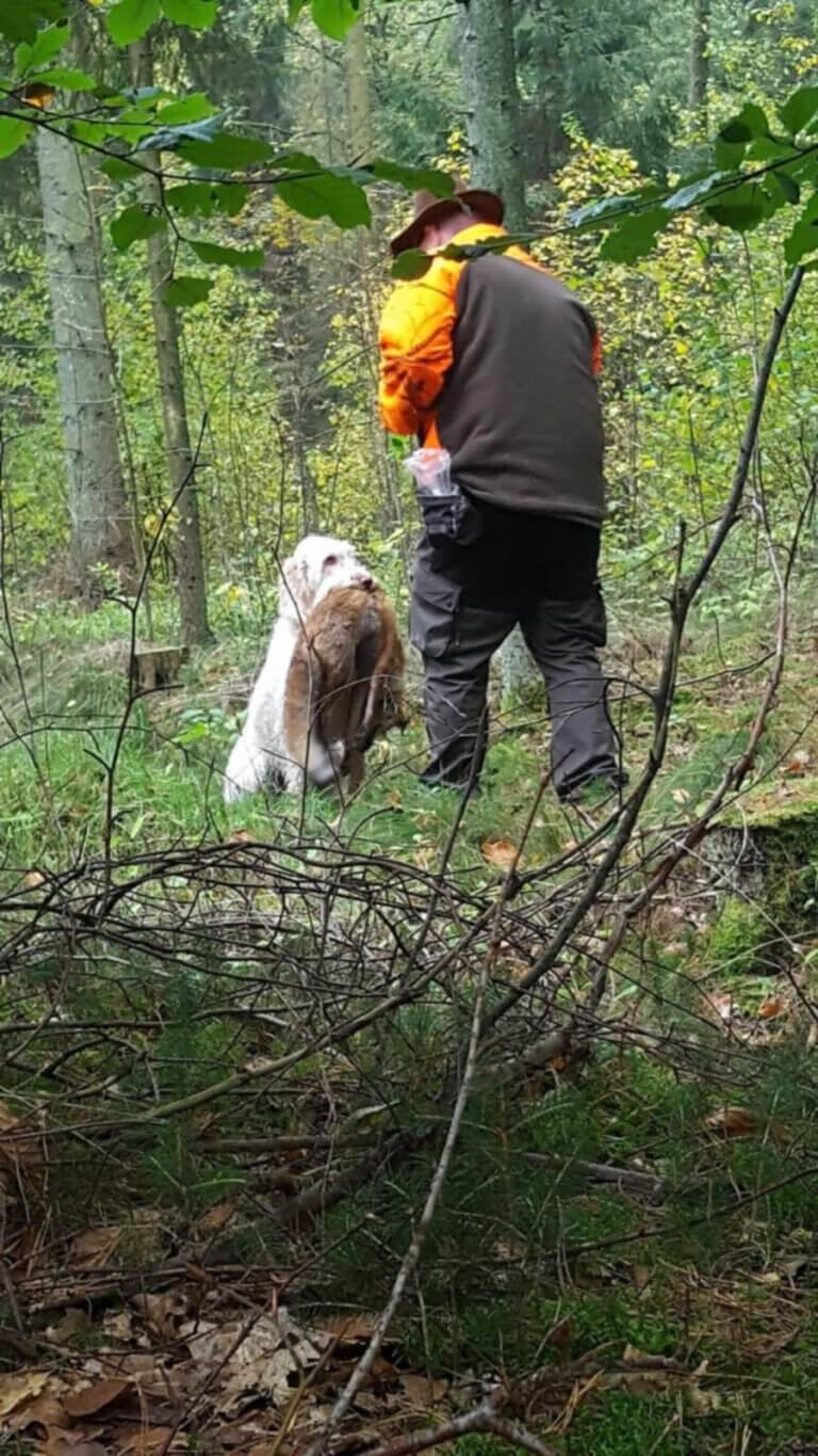 7ef433ec-0234-4124-95a0-13195a99e243