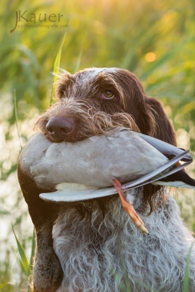 a52a750c-d542-48fd-8d82-b799112b54d5