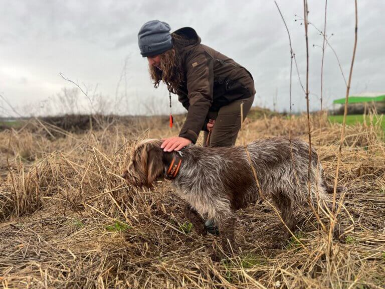 c50d53dc-495d-4528-a443-458b3107f94b