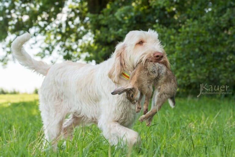 fc74b234-968a-451f-b964-16e0d3a49efd