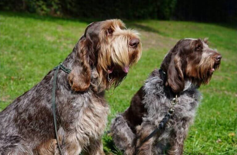 facebook_1765753308011_7406106162805622649