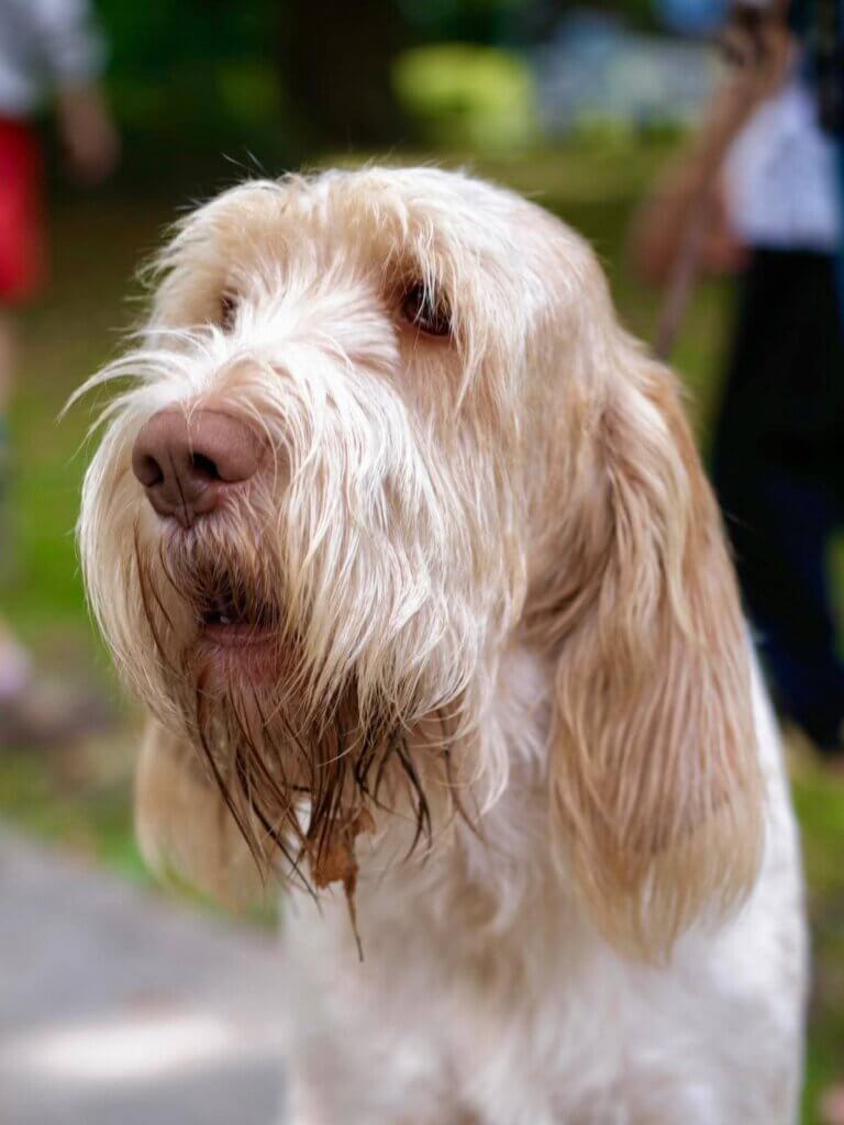 facebook_1773957570280_7440517332856586980