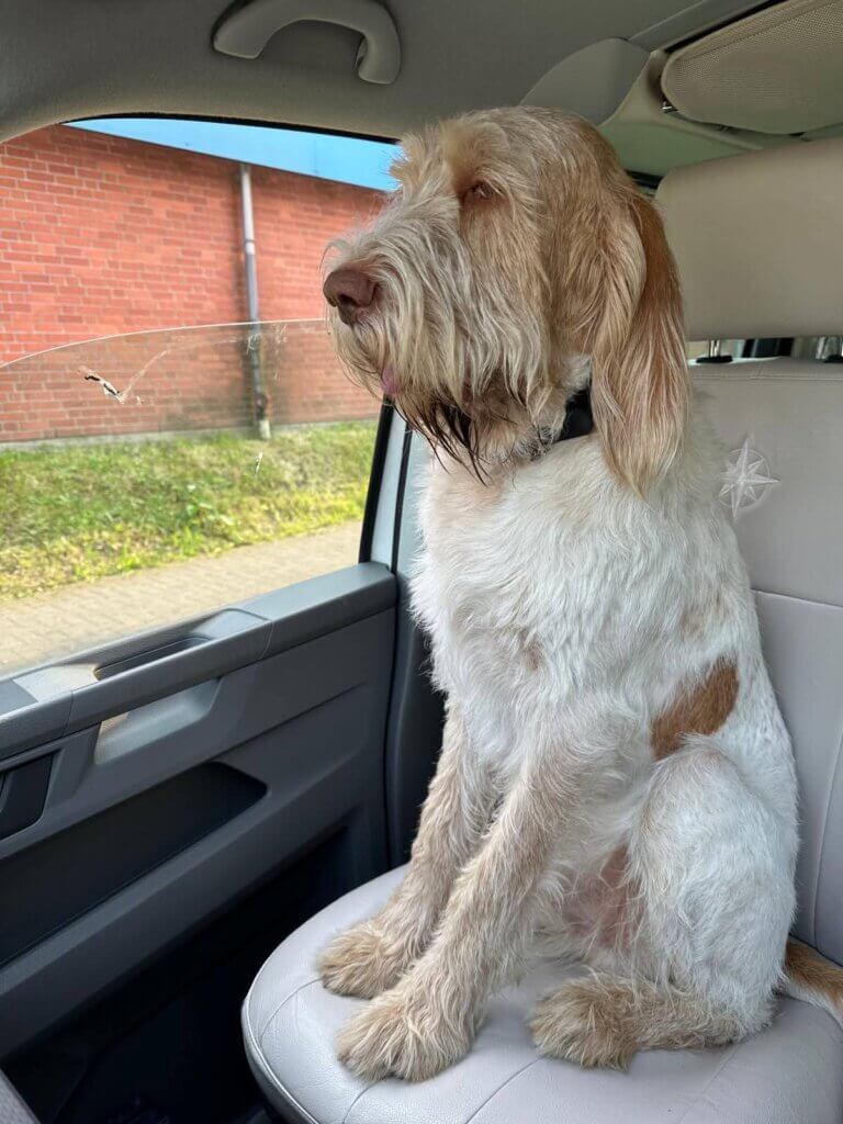 facebook_1773957593689_7440517431041757358