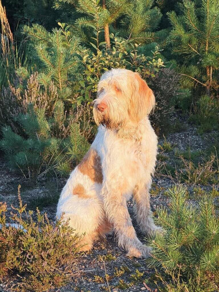 facebook_1773957651199_7440517672257829457