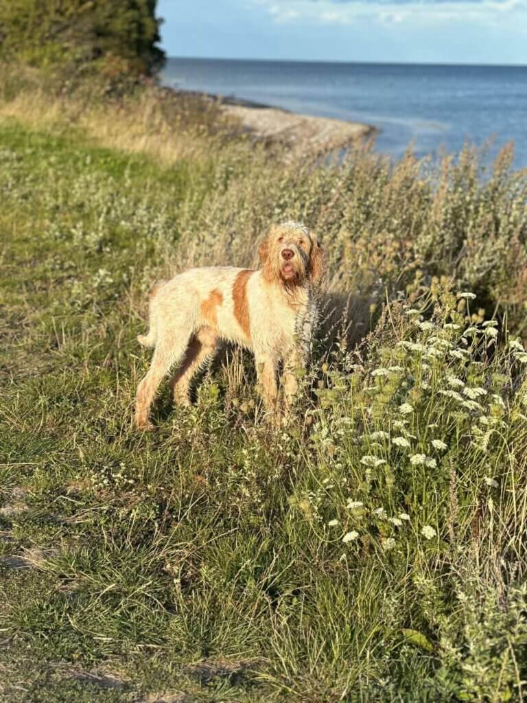 facebook_1773957678746_7440517787795871931