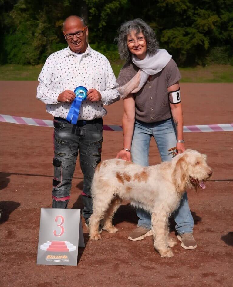 facebook_1773958497810_7440521223201782590