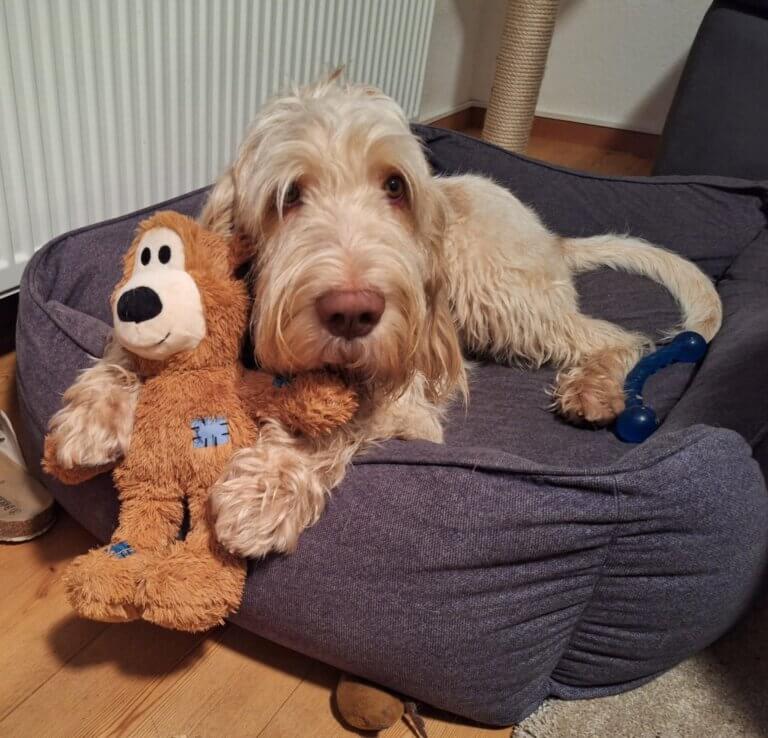 facebook_1773958517968_7440521307750117143