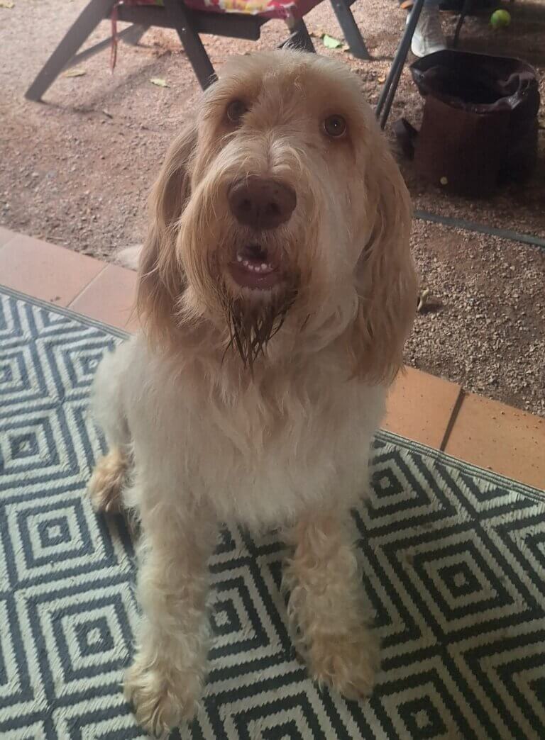 facebook_1773958548811_7440521437114430284