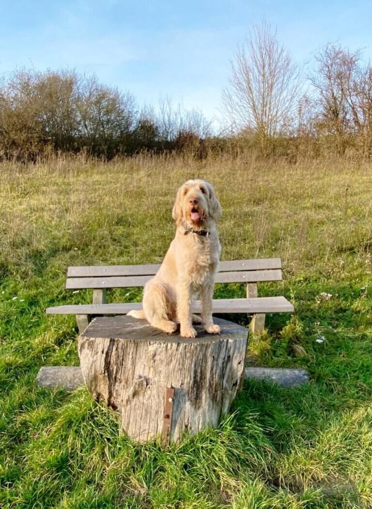 facebook_1773959764396_7440526535646548367