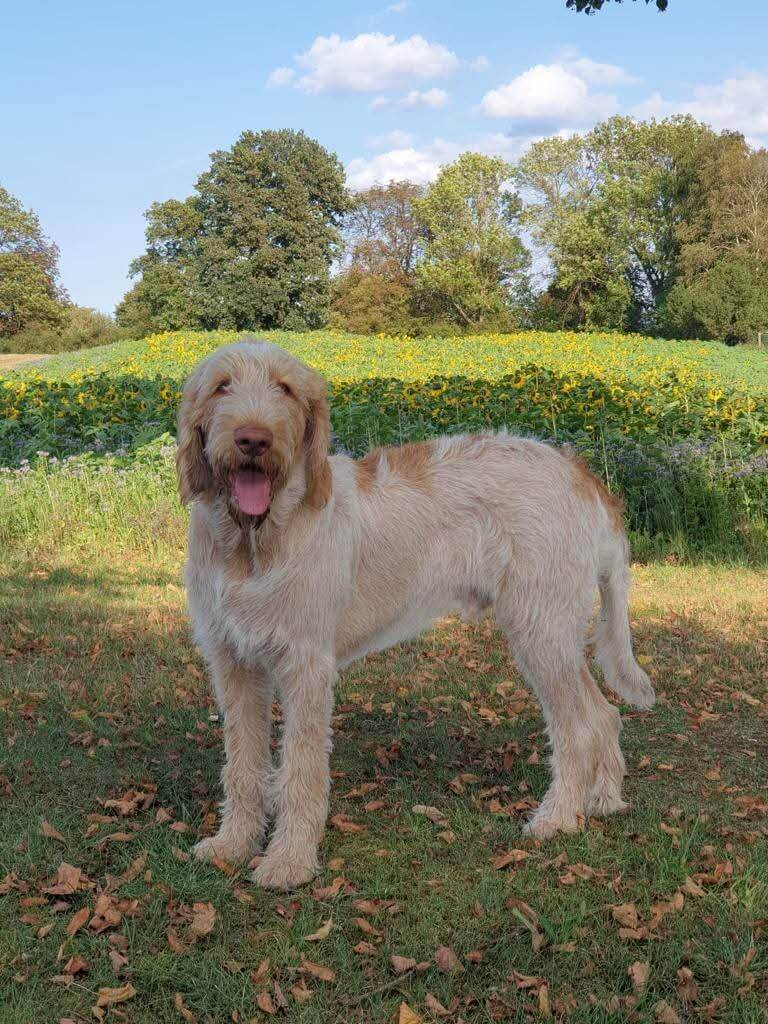 facebook_1773959794848_7440526663374166502